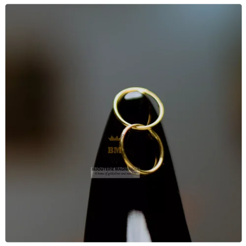 Bella Gold Earring