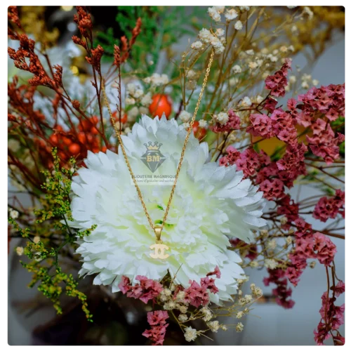 No:14 Gaella Gold Necklace